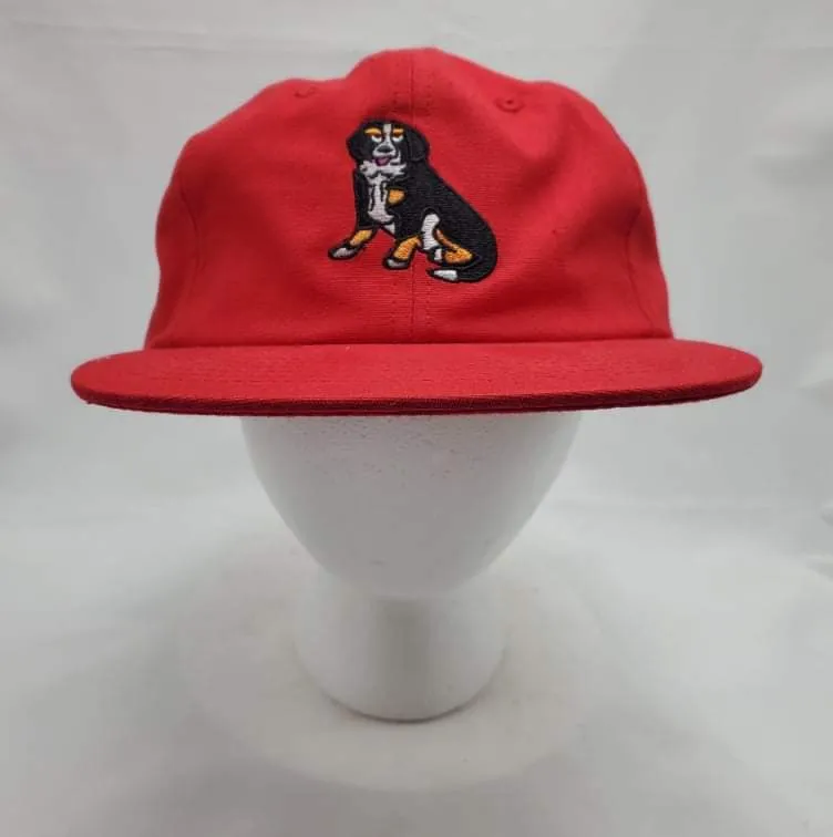 Authentic Skateboard Supply - Franny Red Strap Back