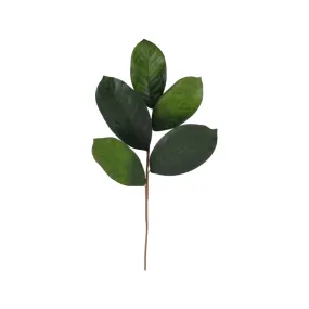Magnolia Leaf Pick